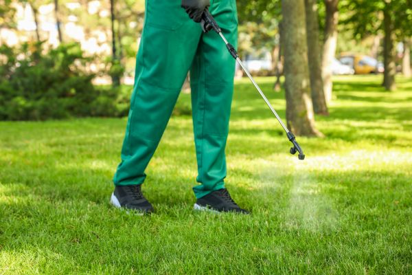 Hickory Lawn Treatment